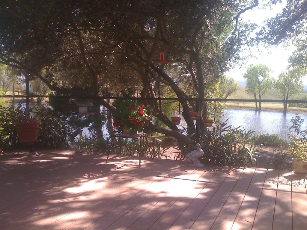 1172 Hodson Rd, Copperopolis, CA 95228