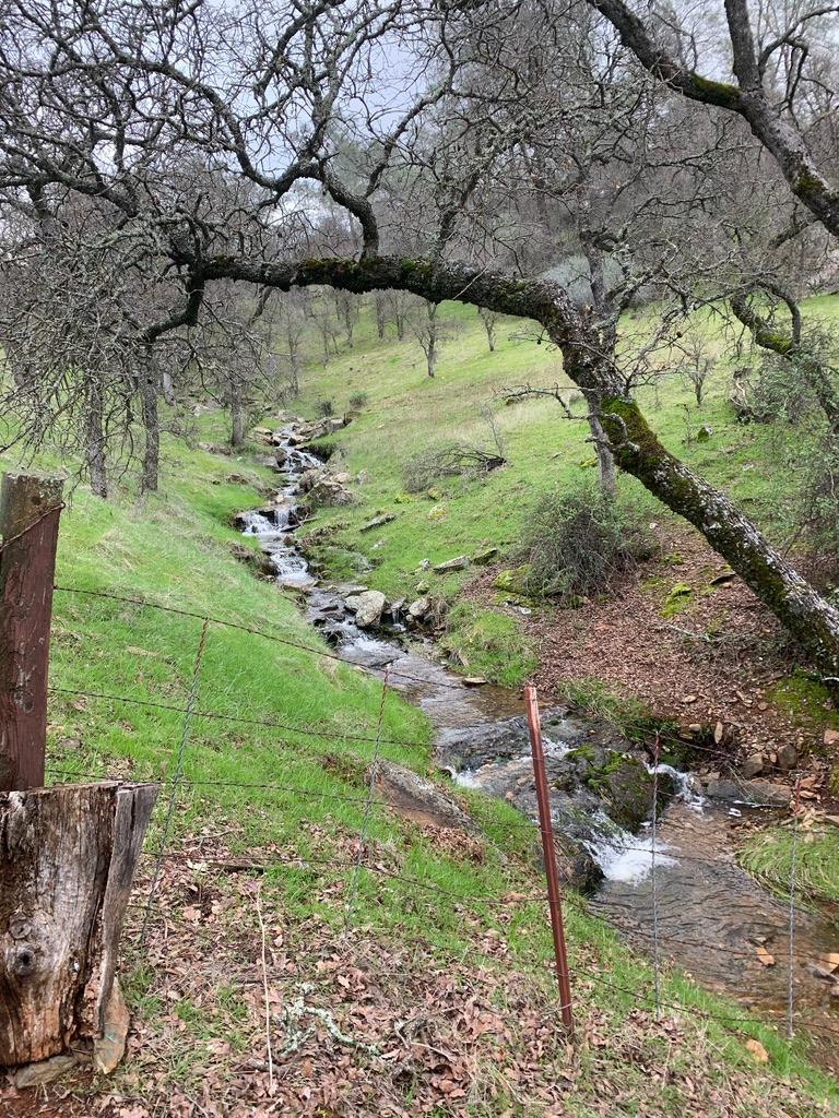 1172 Hodson Rd, Copperopolis, CA 95228