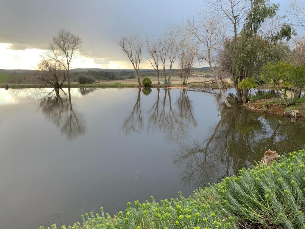 1172 Hodson Rd, Copperopolis, CA 95228