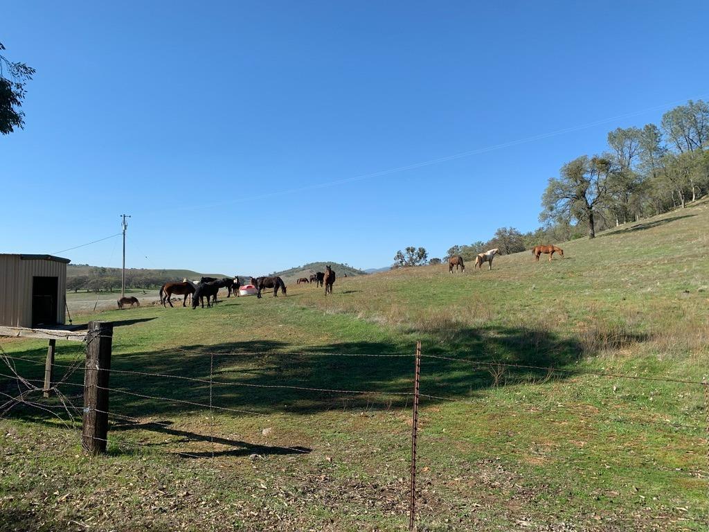 1172 Hodson Rd, Copperopolis, CA 95228