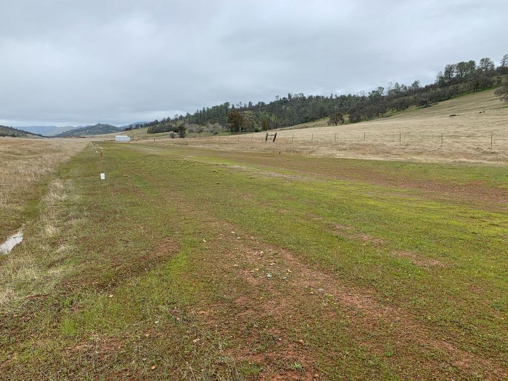 1172 Hodson Rd, Copperopolis, CA 95228