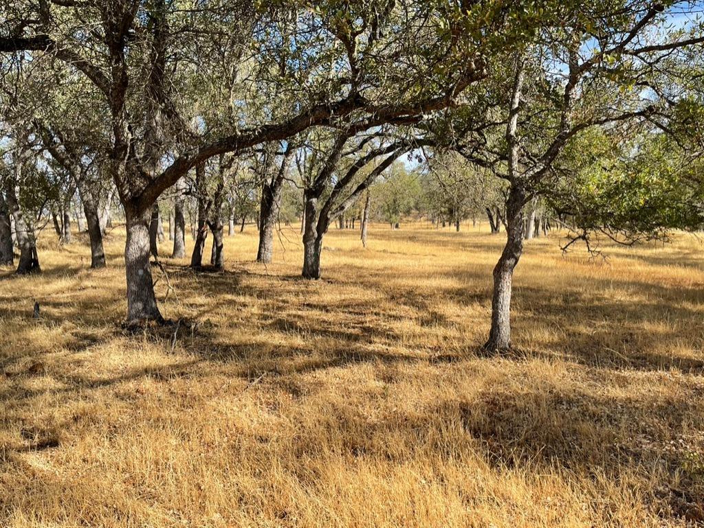 1172 Hodson Rd, Copperopolis, CA 95228