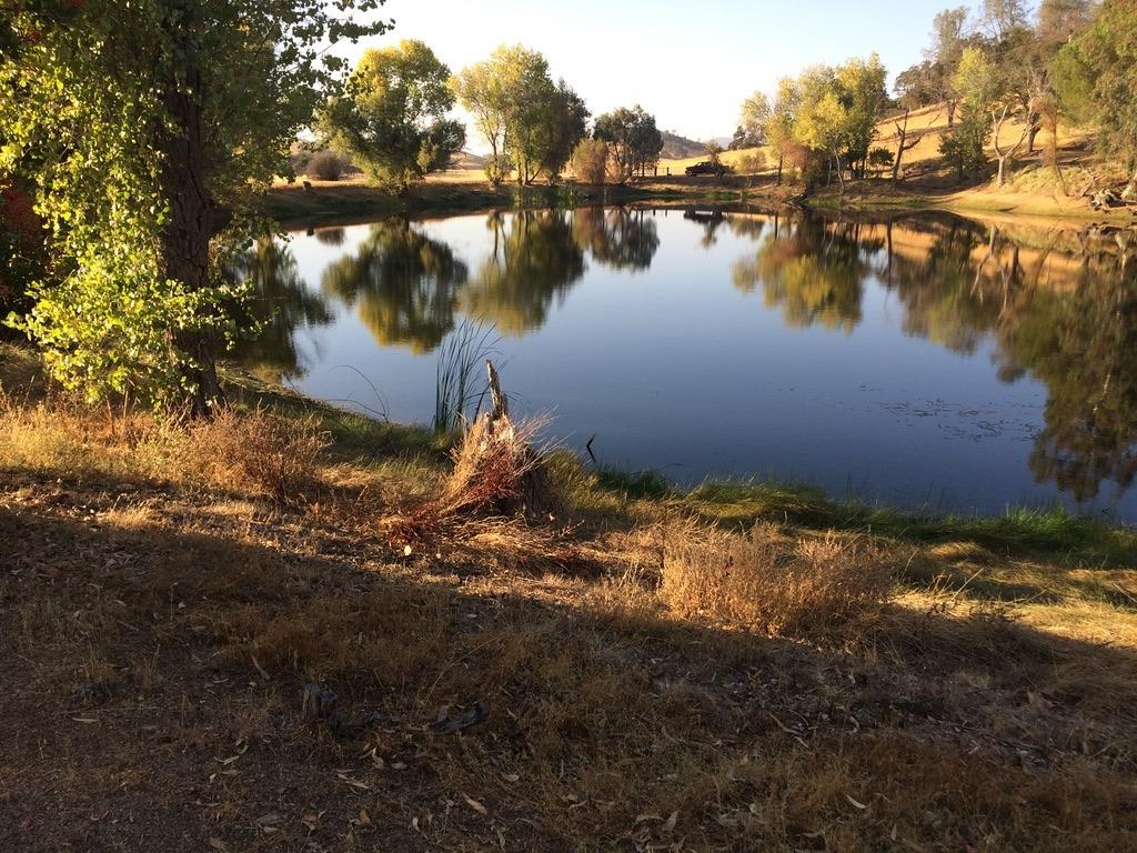 1172 Hodson Rd, Copperopolis, CA 95228