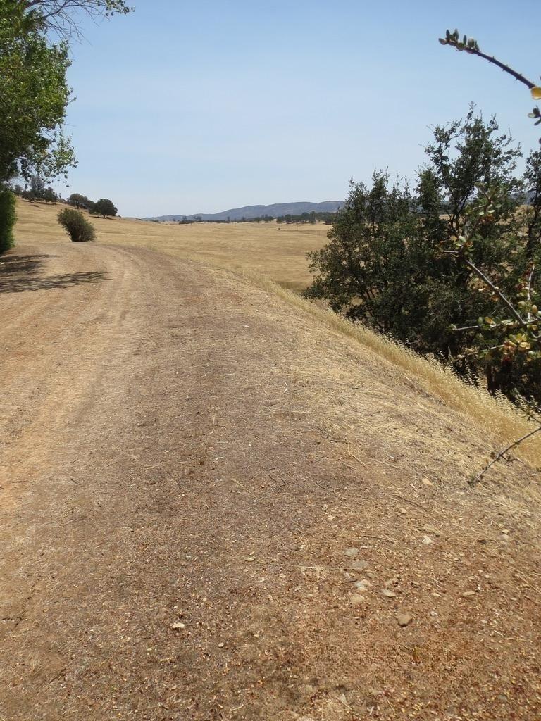 1172 Hodson Rd, Copperopolis, CA 95228