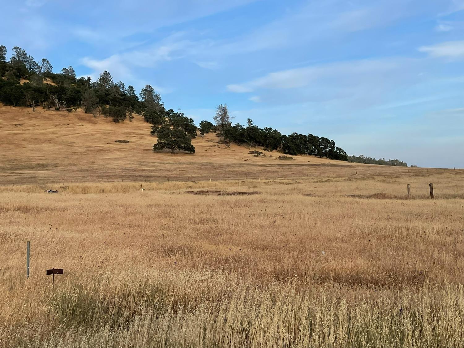 1172 Hodson Rd, Copperopolis, CA 95228