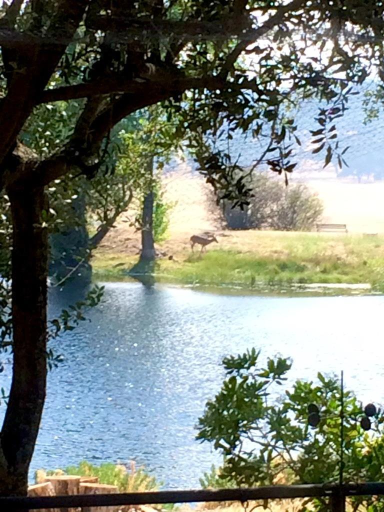 1172 Hodson Rd, Copperopolis, CA 95228