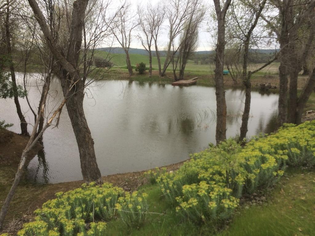 1172 Hodson Rd, Copperopolis, CA 95228