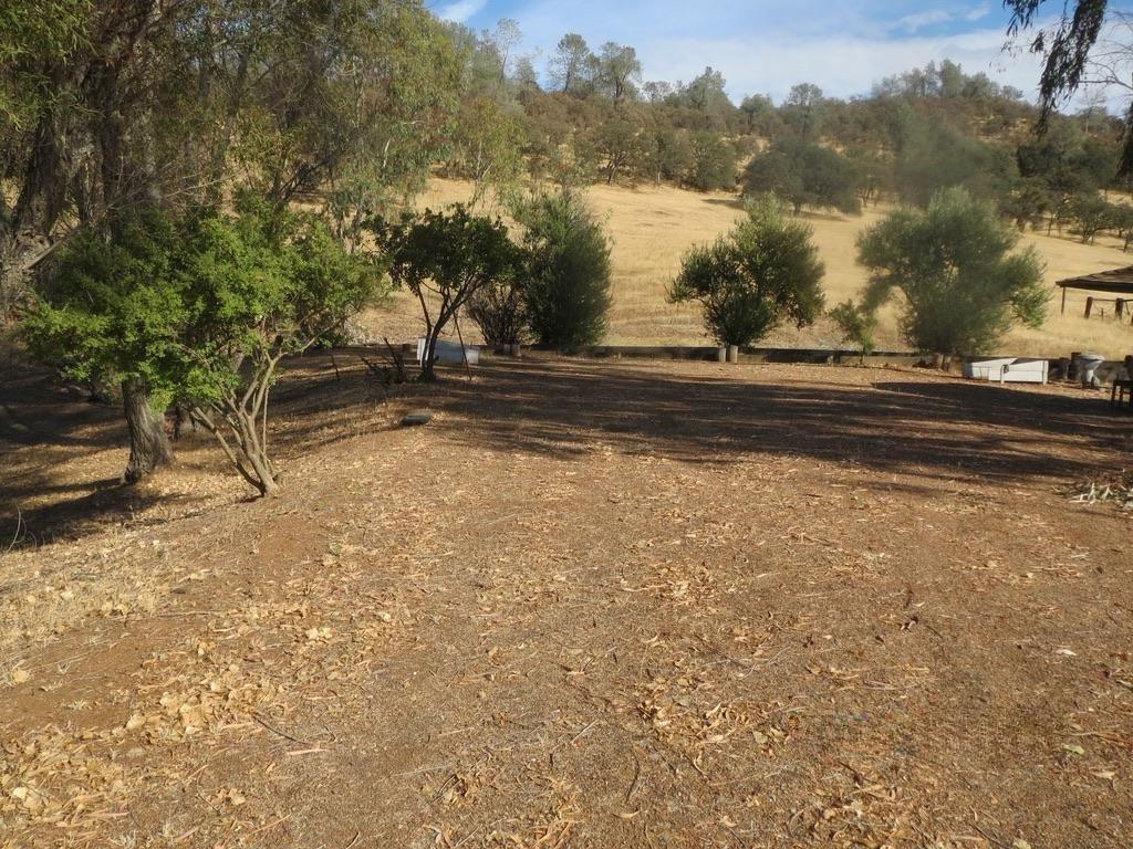 1172 Hodson Rd, Copperopolis, CA 95228