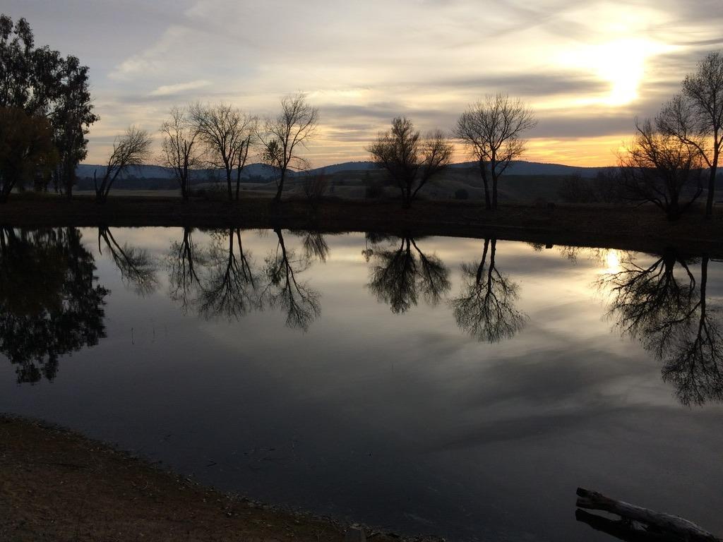 1172 Hodson Rd, Copperopolis, CA 95228