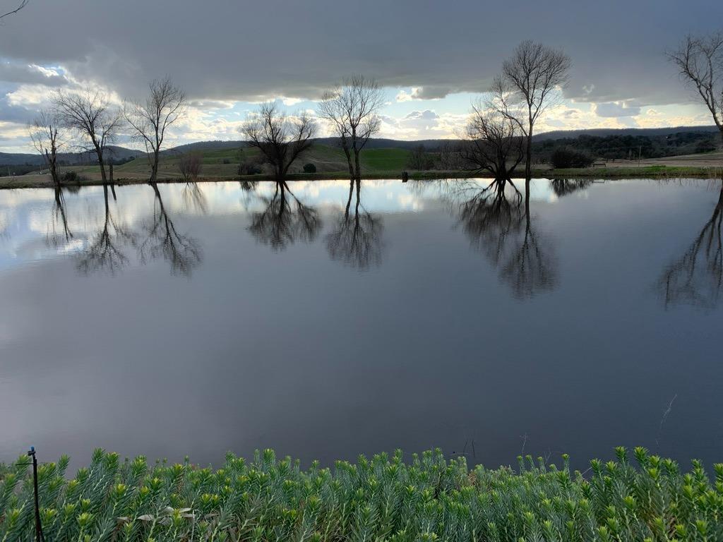 1172 Hodson Rd, Copperopolis, CA 95228