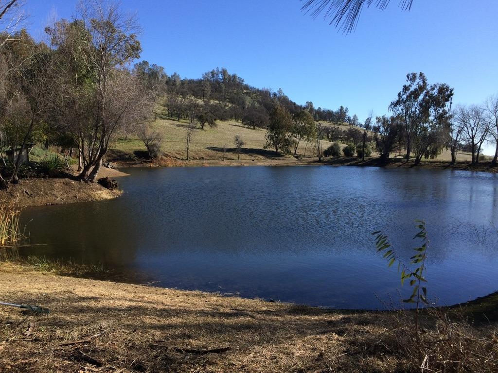 1172 Hodson Rd, Copperopolis, CA 95228