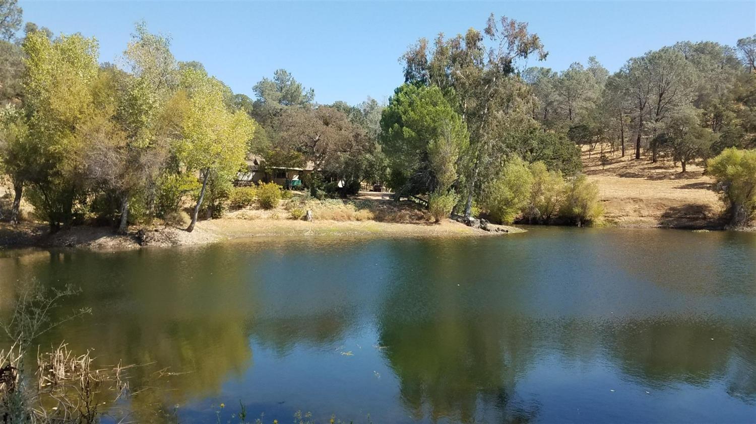 1172 Hodson Rd, Copperopolis, CA 95228