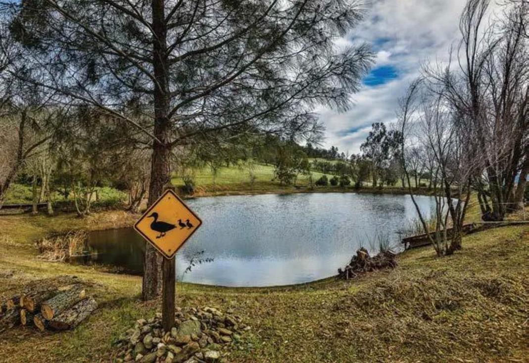 1172 Hodson Rd, Copperopolis, CA 95228