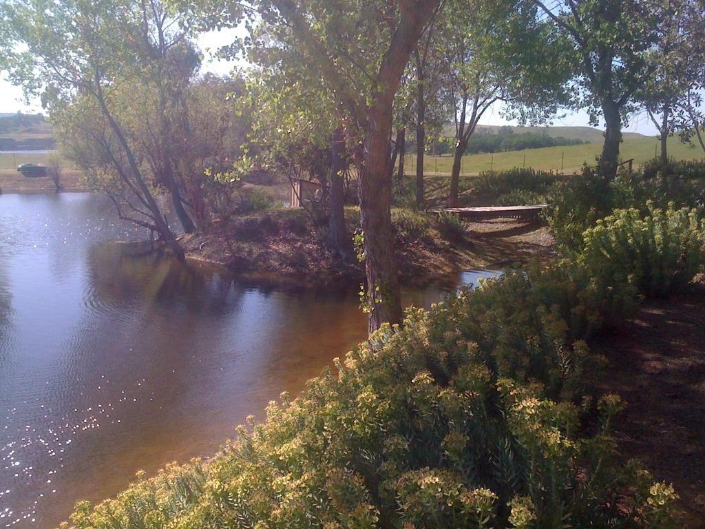 1172 Hodson Rd, Copperopolis, CA 95228