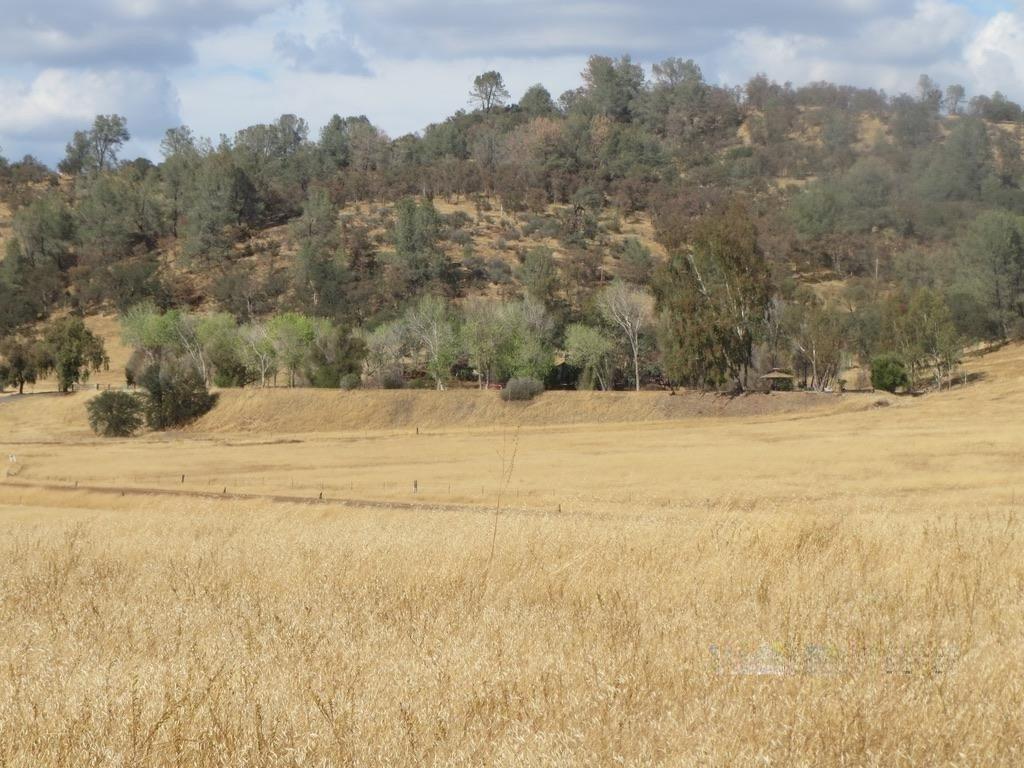 1172 Hodson Rd, Copperopolis, CA 95228