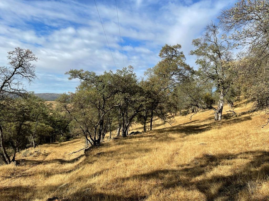 1172 Hodson Rd, Copperopolis, CA 95228