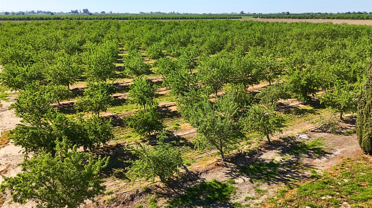 8499 Monte Cristo Ave, Livingston, CA 95334