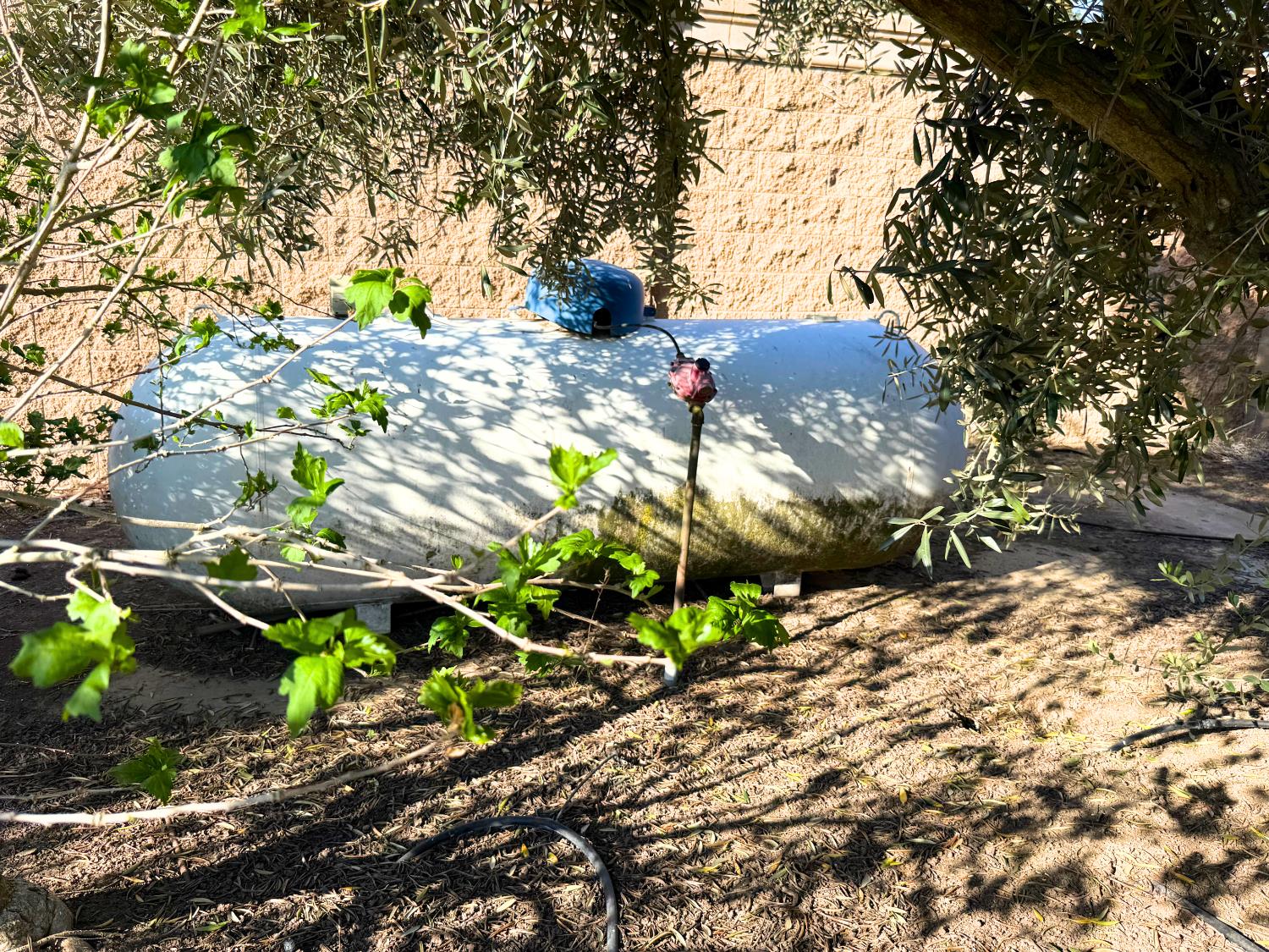 8499 Monte Cristo Ave, Livingston, CA 95334