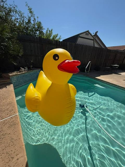 954 Avenida Real, Ceres, CA 95307