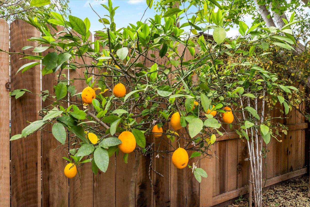 598 Almondcrest St, Oakdale, CA 95361