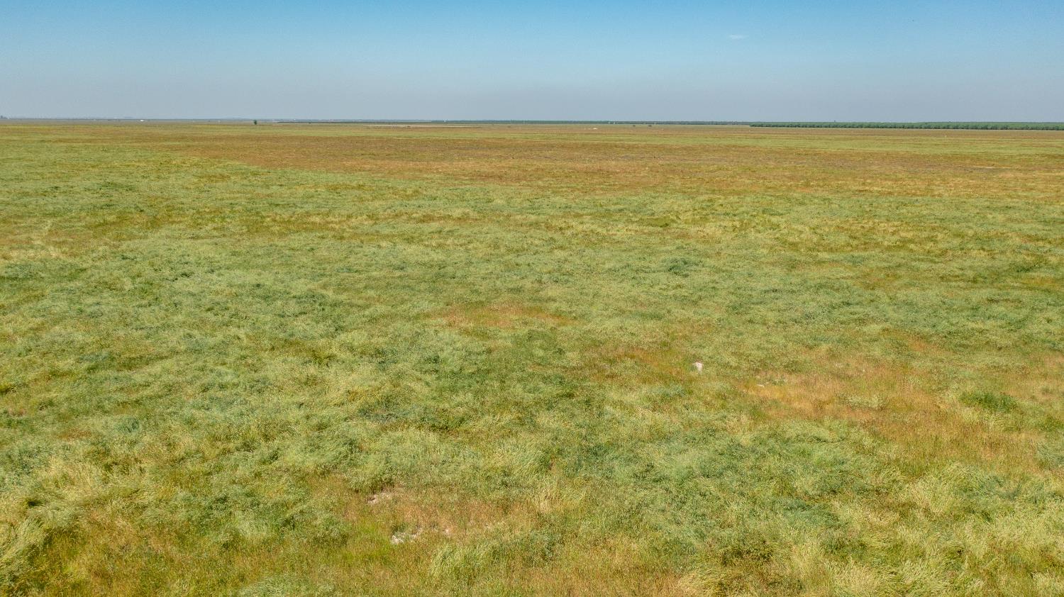 0 Avenue 24, Earlimart, CA 93219