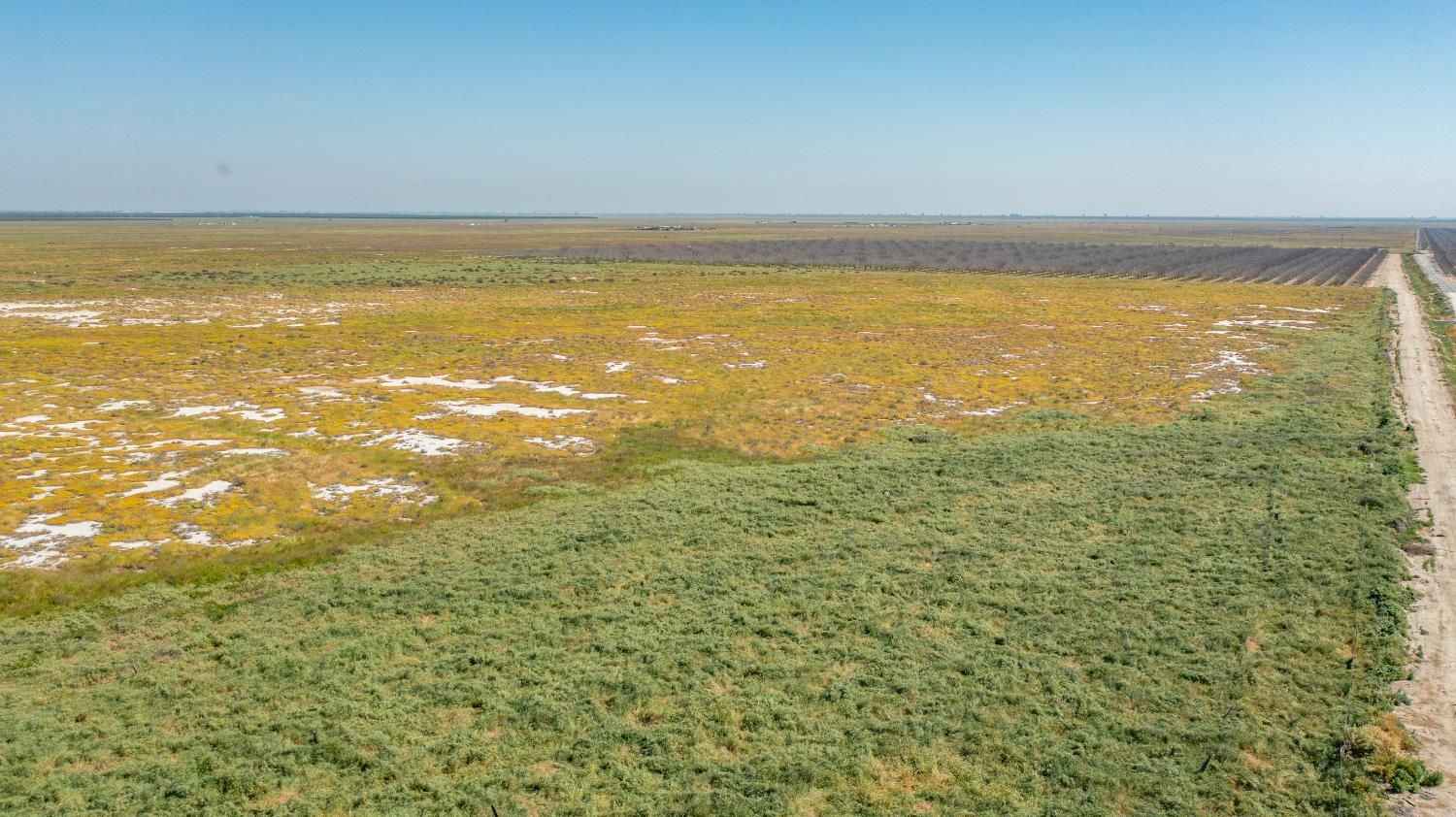 0 Avenue 24, Earlimart, CA 93219