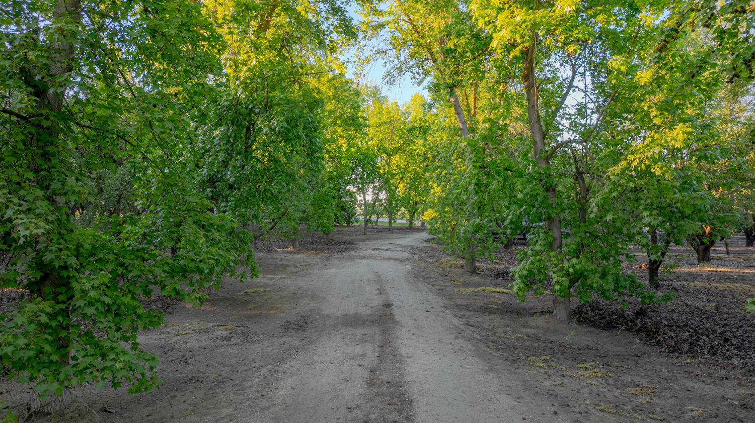 11126 Livingston Cressey Rd, Livingston, CA 95334