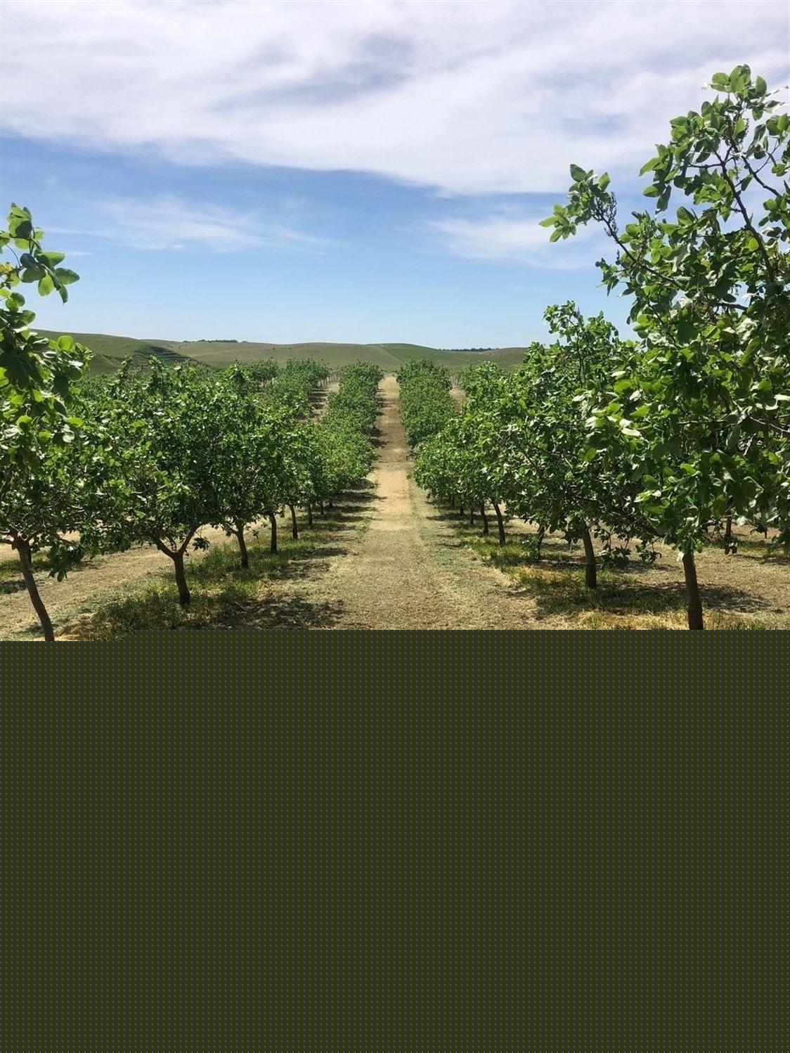 17981 Los Cerritos, Snelling, CA 95369