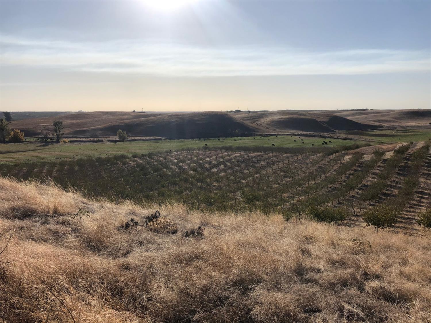 17981 Los Cerritos, Snelling, CA 95369