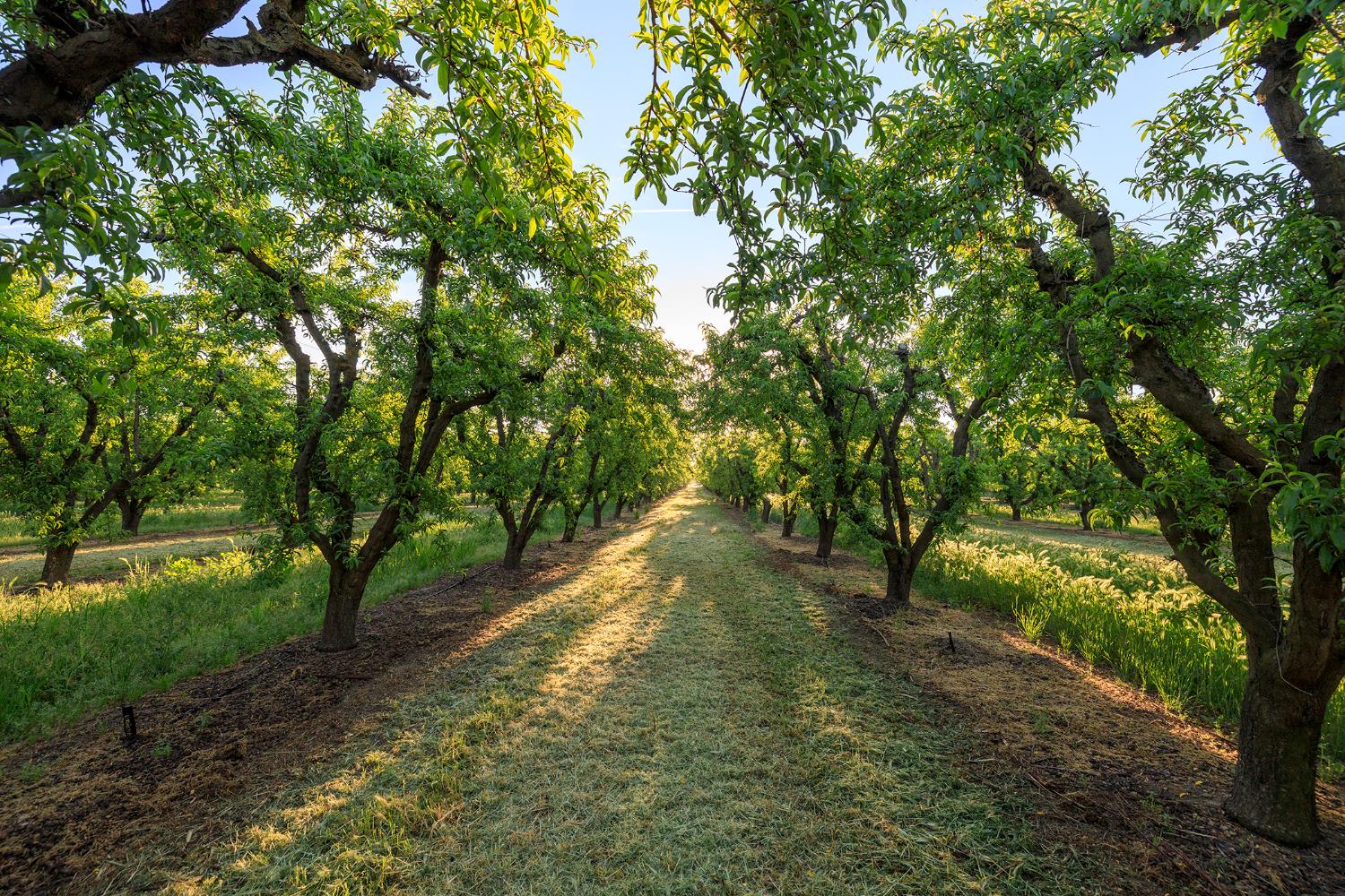 0 Faith Home Rd, Ceres, CA 95307