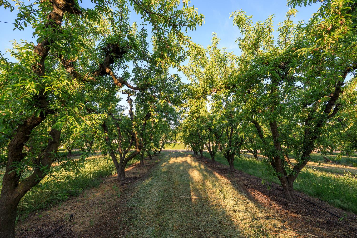 0 Faith Home Rd, Ceres, CA 95307