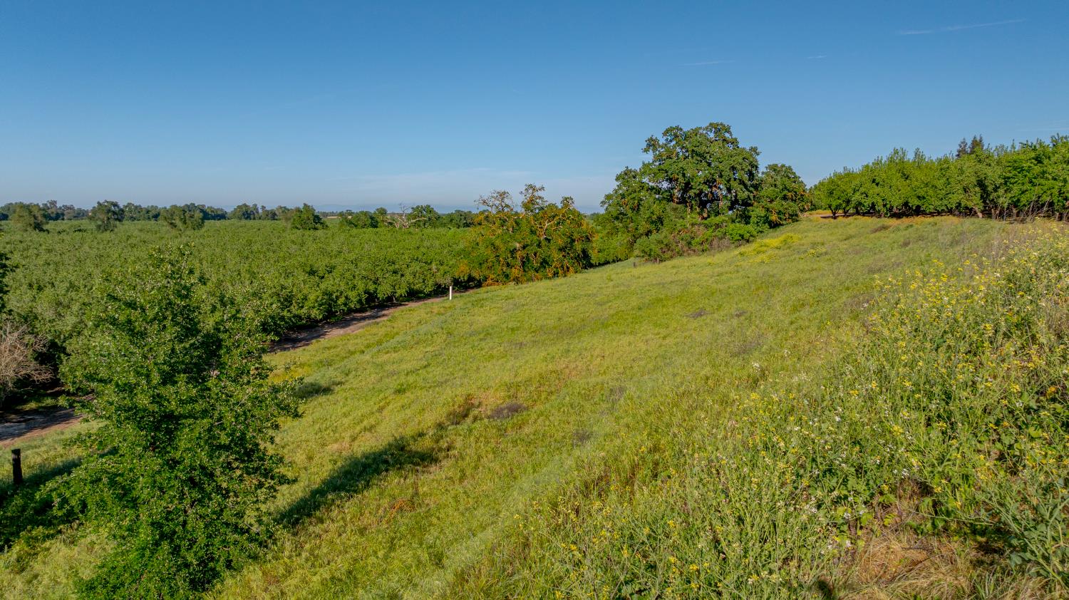 0 Livingston Cressey Rd, Livingston, CA 95334