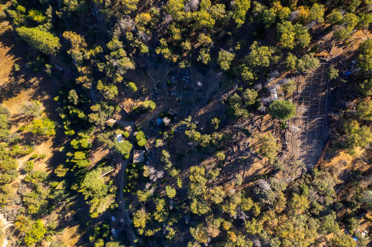 44989 Mcclenny Dr, Posey, CA 93260