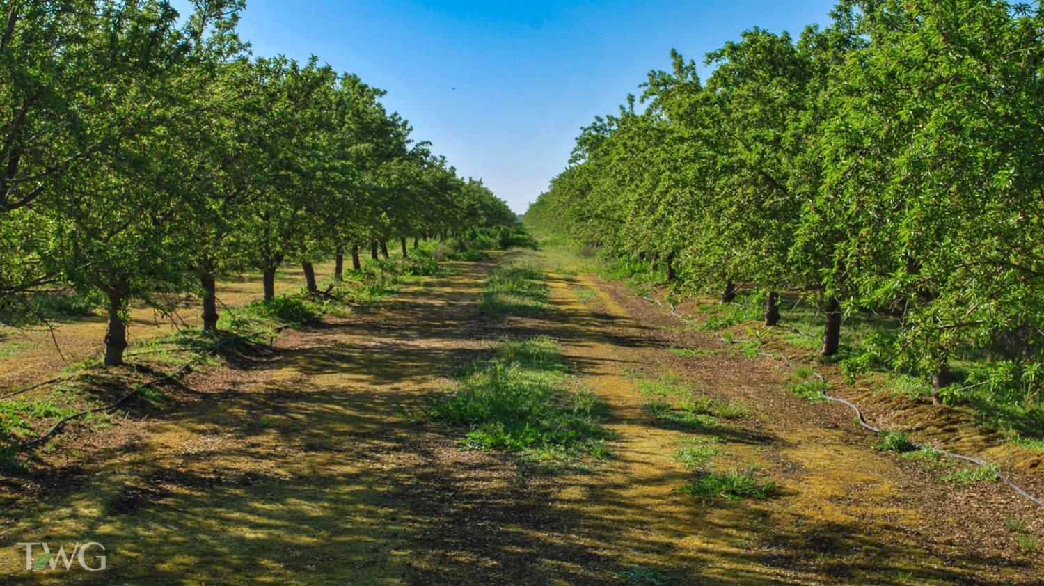 25012 Avenue 24, Chowchilla, CA 93610