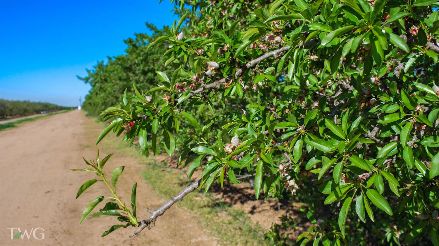 25012 Avenue 24, Chowchilla, CA 93610