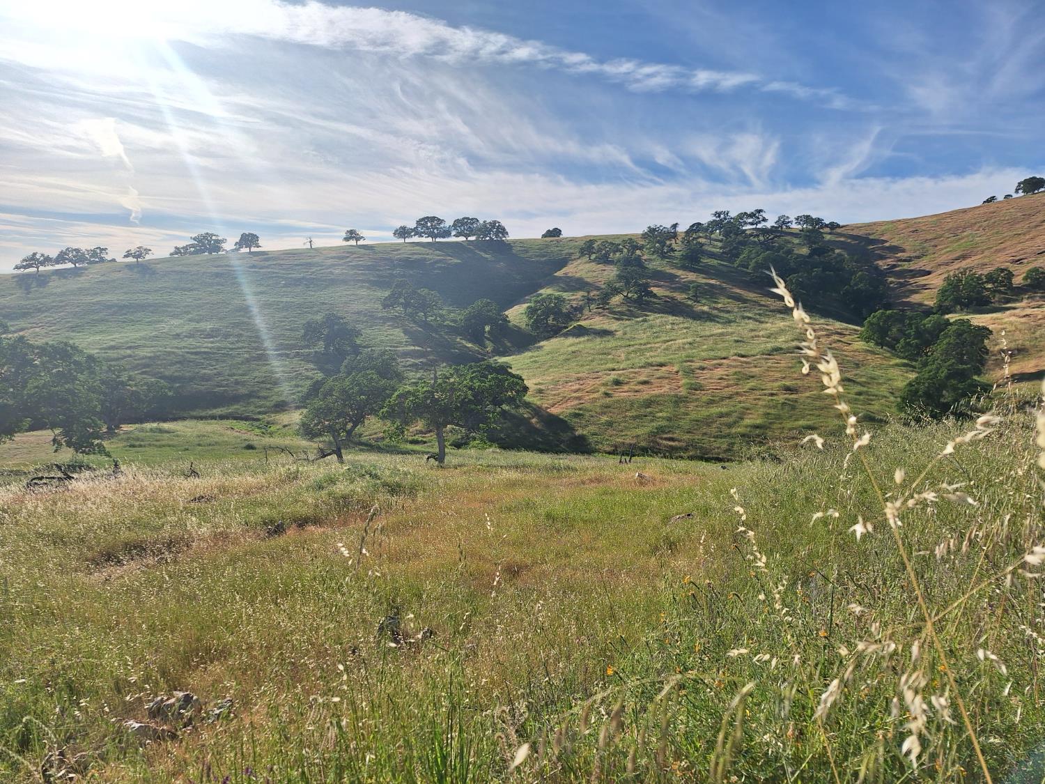 9987 Hernandez Dr, La Grange, CA 95329