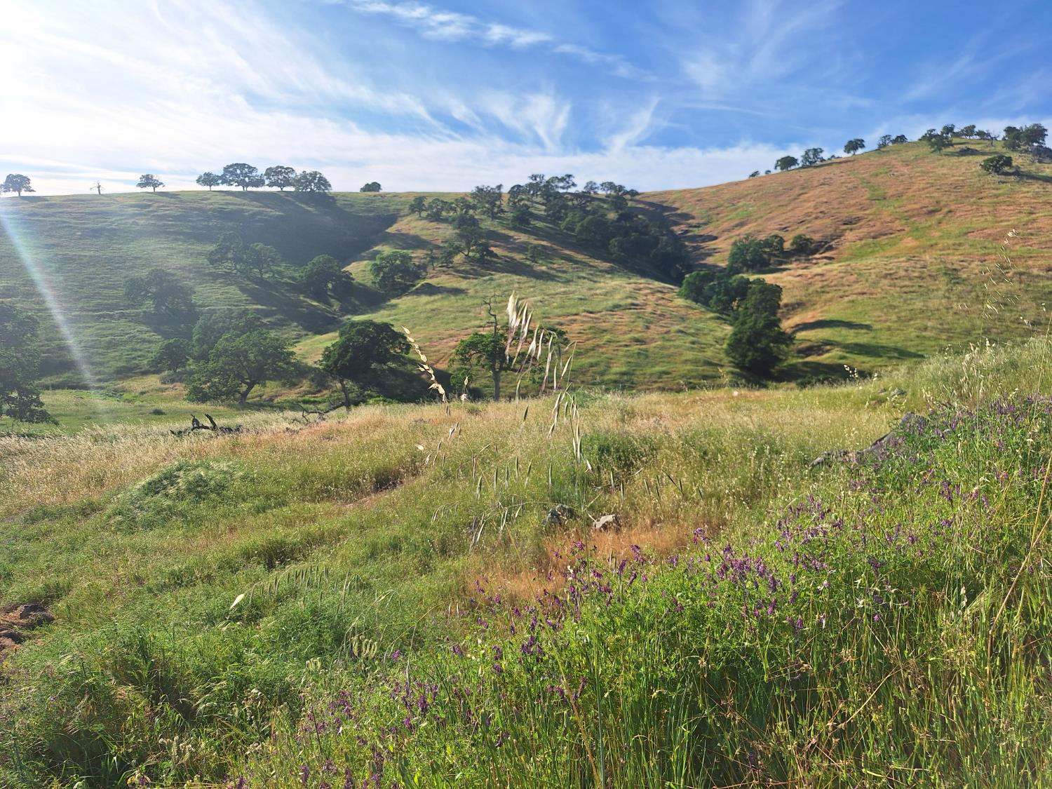 9987 Hernandez Dr, La Grange, CA 95329