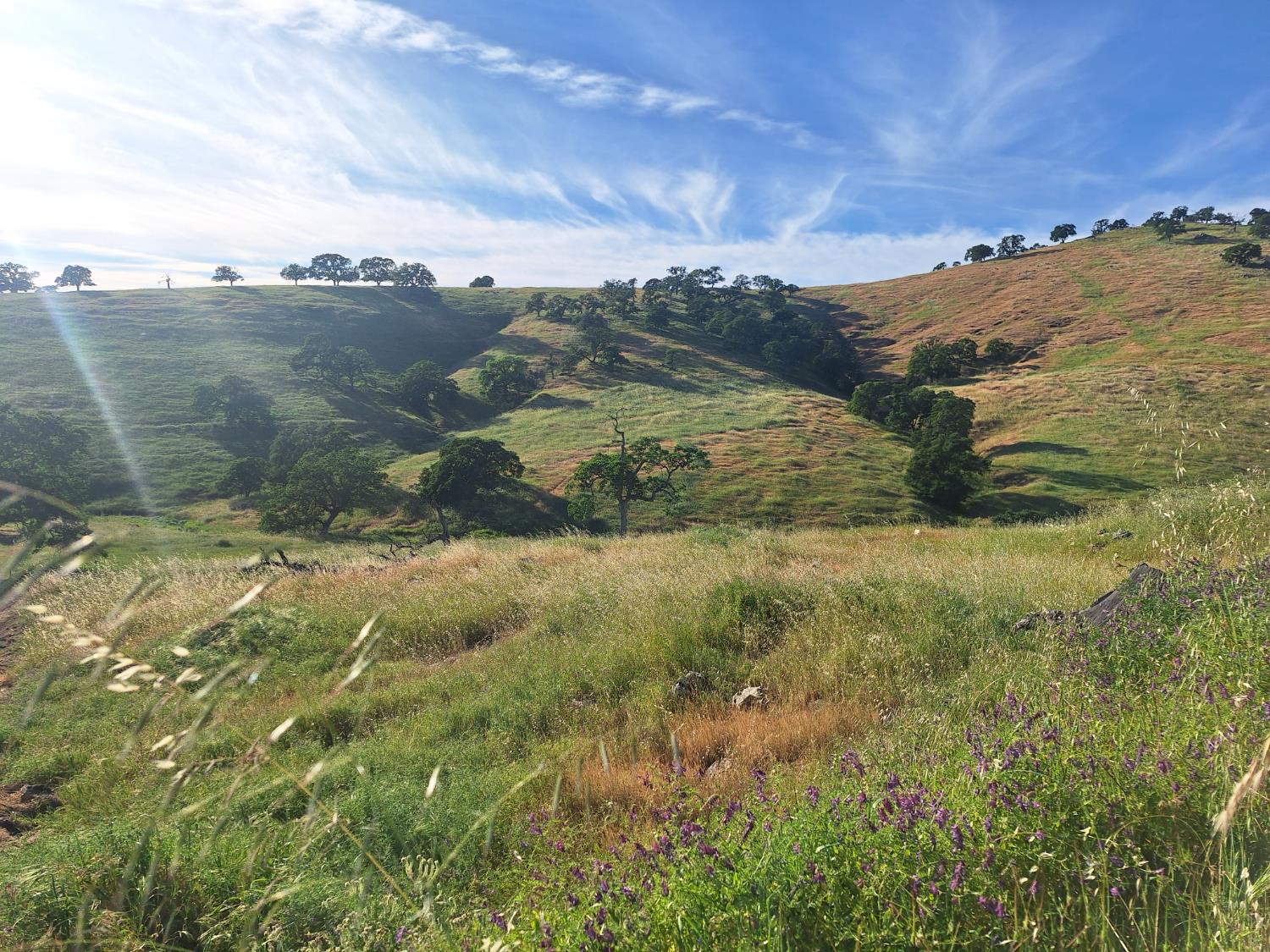 9987 Hernandez Dr, La Grange, CA 95329