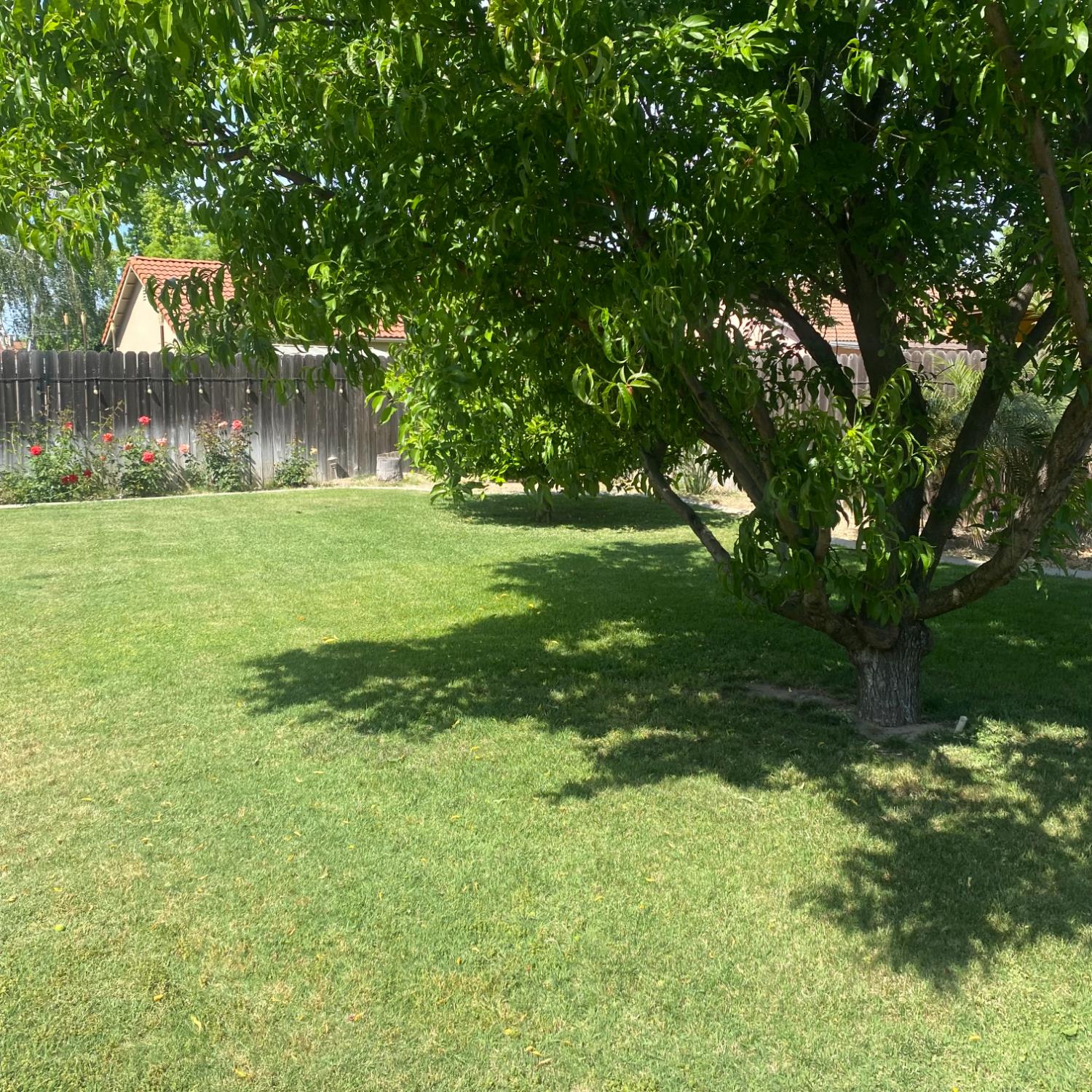 1095 Skyway Ct, Turlock, CA 95380