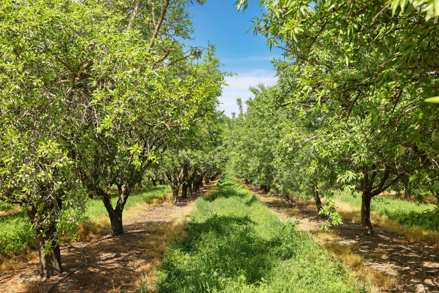 4866 E Roosevelt Rd, Chowchilla, CA 93610