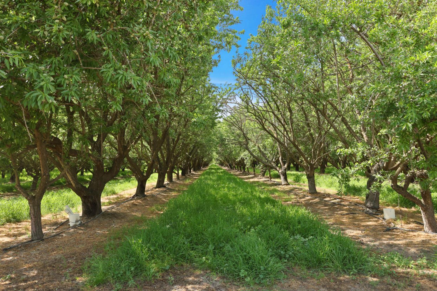 4866 E Roosevelt Rd, Chowchilla, CA 93610