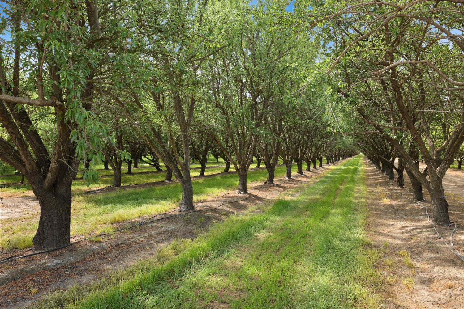 4866 E Roosevelt Rd, Chowchilla, CA 93610