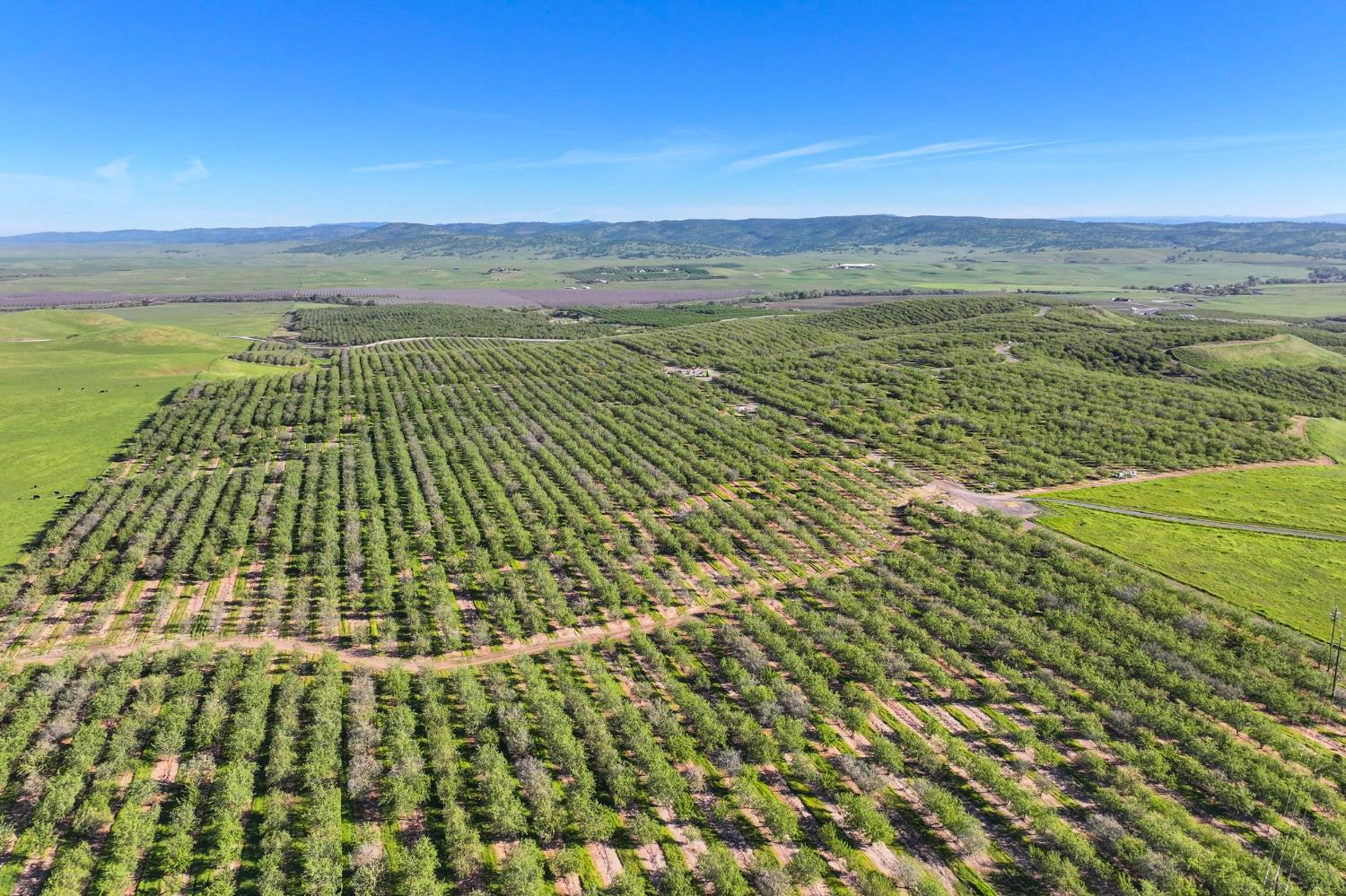 0 E Sonora Rd, Oakdale, CA 95361