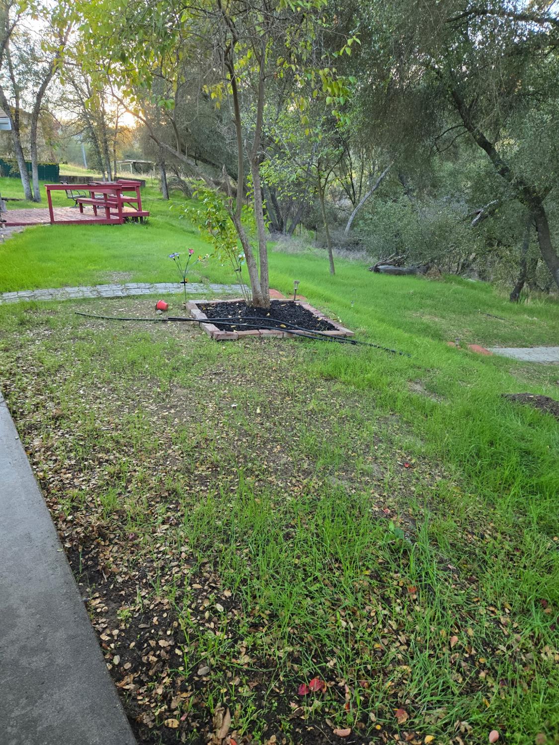 31578 Road 400, Coarsegold, CA 93614