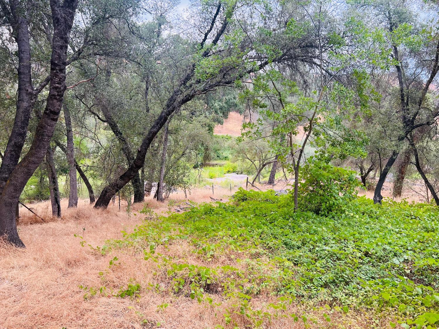 31578 Road 400, Coarsegold, CA 93614