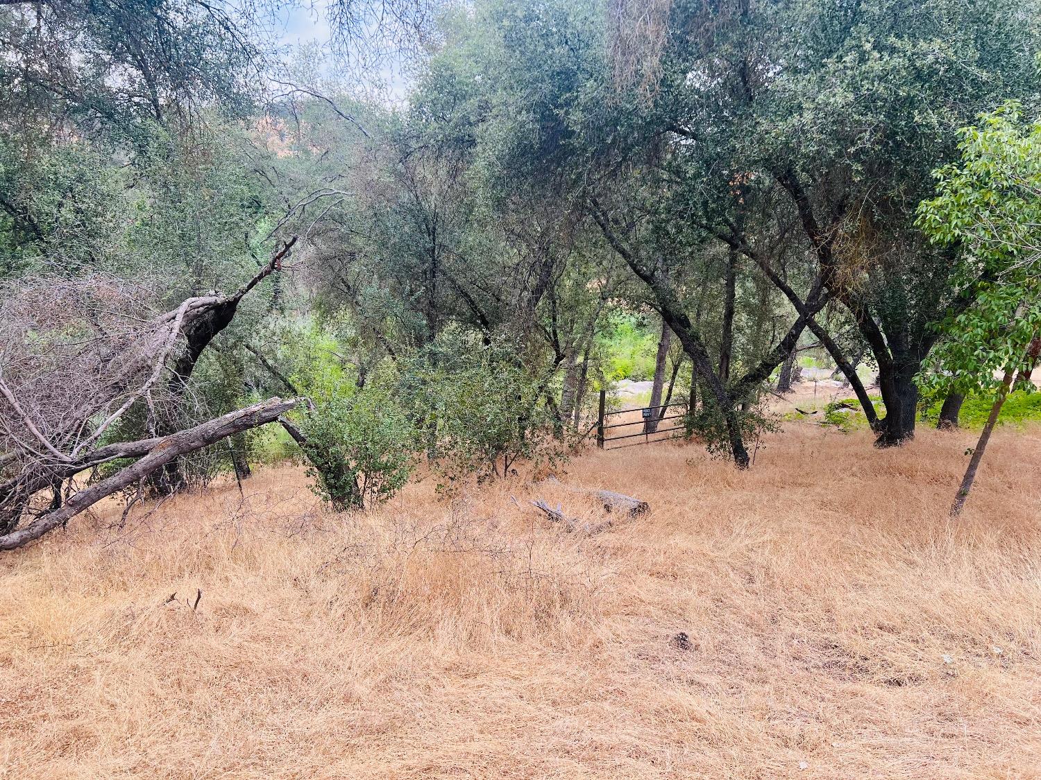 31578 Road 400, Coarsegold, CA 93614