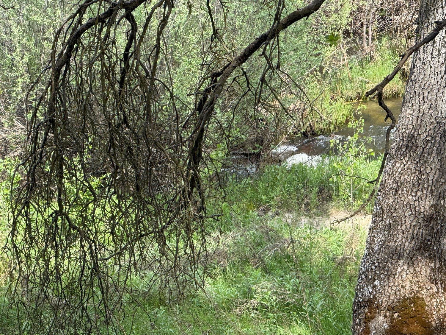 31578 Road 400, Coarsegold, CA 93614