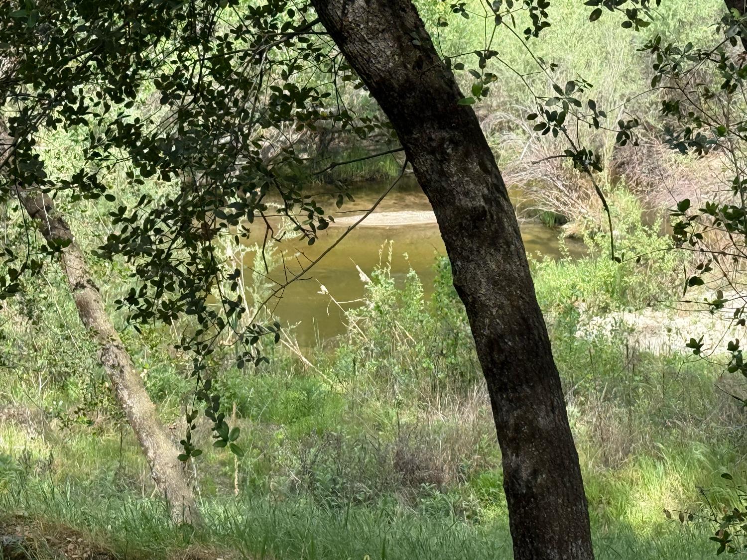 31578 Road 400, Coarsegold, CA 93614