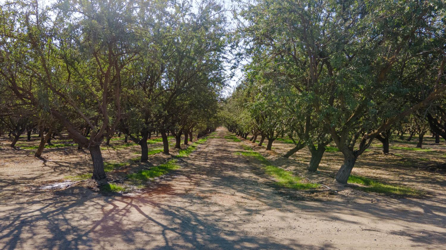 1 Buchanan Hollow Rd, Le Grand, CA 95333