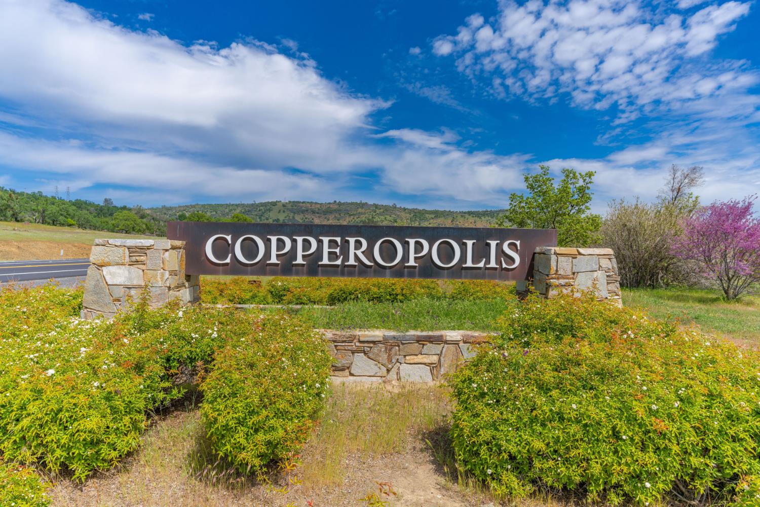 695 Feather Dr, Copperopolis, CA 95228